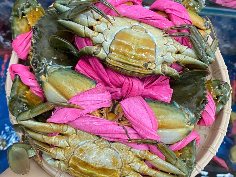 Cua cốm Cà Mau tươi sống