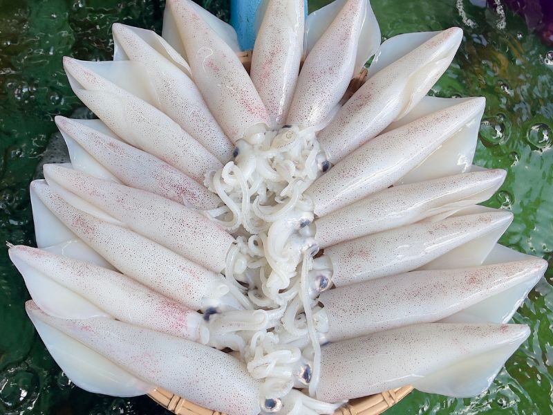 mực ống câu khơi tươi