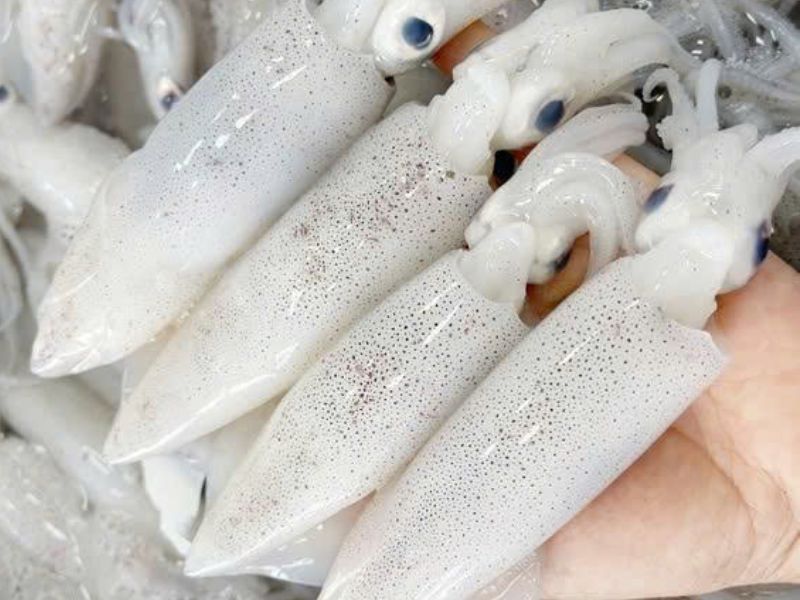 Mực ống lỡ tươi câu khơi