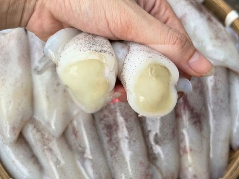 mực trứng tươi size lớn