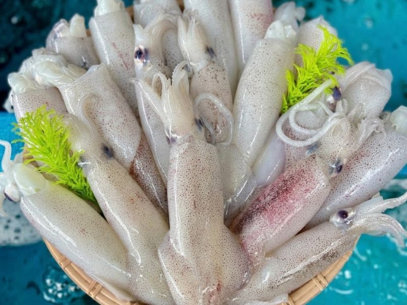 mực trứng tươi size lớn