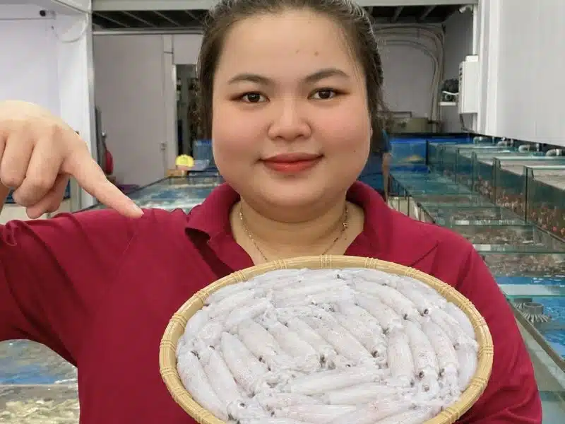 Mực tươi câu khơi