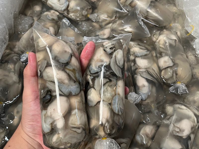ruột hàu sữa túi