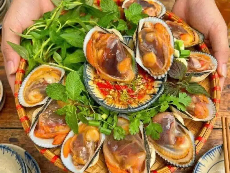 Sò Lông Phan Thiết