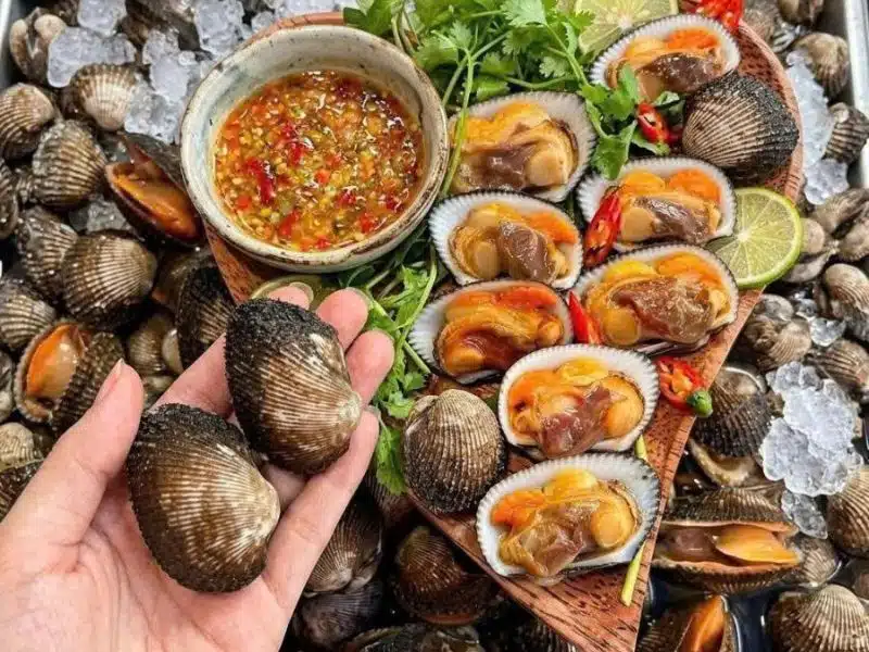 Sò lông Phan Thiết