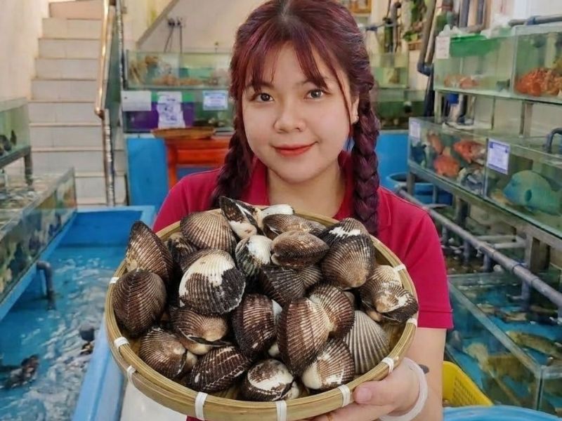 Sò lông Phan Thiết sống