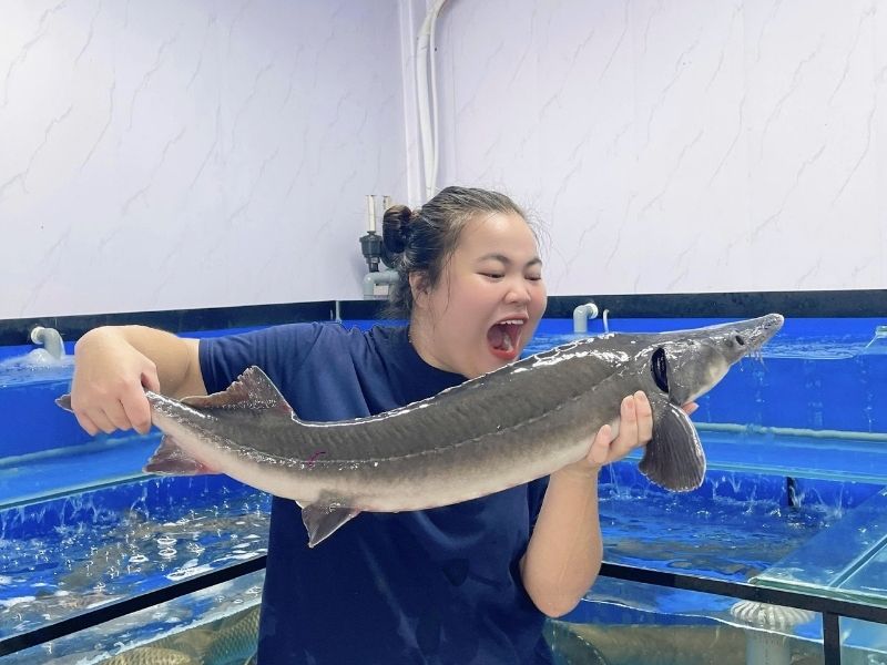 Cá tầm Đà Lạt