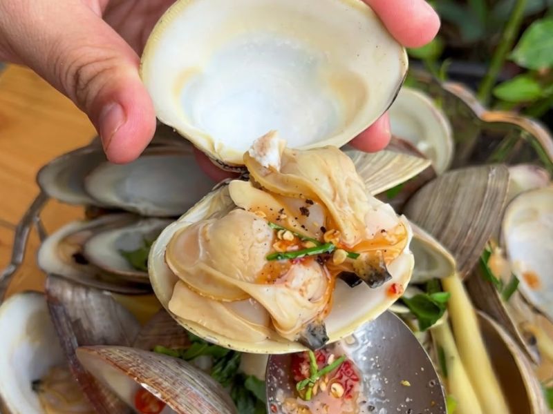Ngao mỡ nhập khẩu