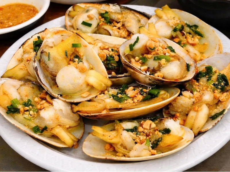 ngao sần sống 