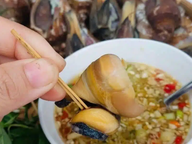 ốc búa sống