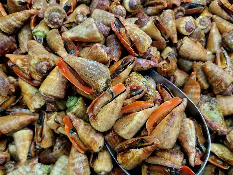 ốc nhảy đỏ sống