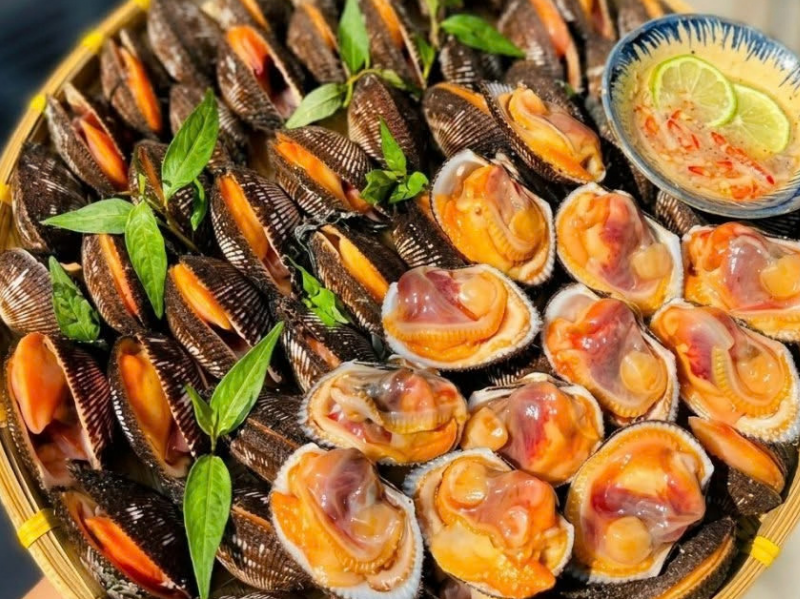 Sò Lông Phan Thiết Sống