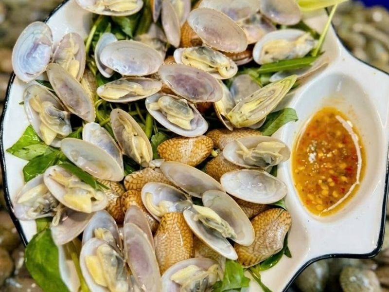 Sò lụa xanh