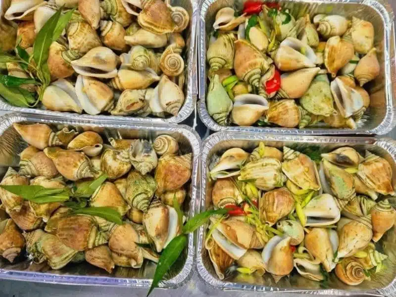 Vua Ốc Nhảy